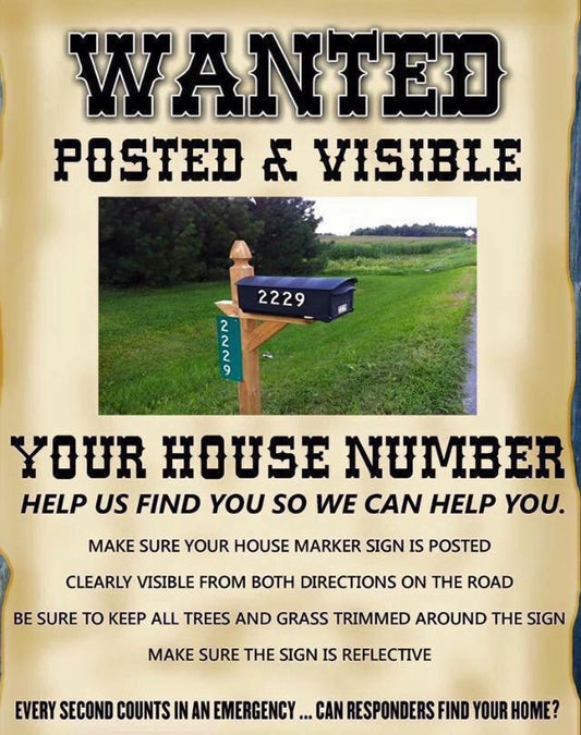 **FREEBIE** "Wanted" Education Sheet